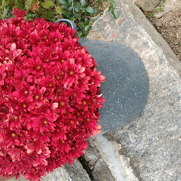 #5 VINTAGE Graniteware Dual Handled Country Pot - Picture 2 of 9